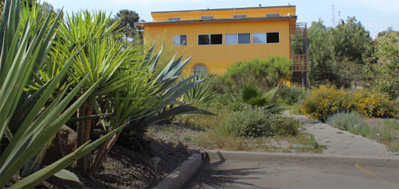 Yellow building at la posada surrounded by lots of green native plants